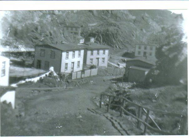 06 The large house was the home of Frank and Phoebe Lockyer, to the right was the home of Edgar and Myrtle Lockyer, across the road was the home of Enos and Mary Lockyer and down the road is the second home of Edgar's. Credit: Madonna Drover
